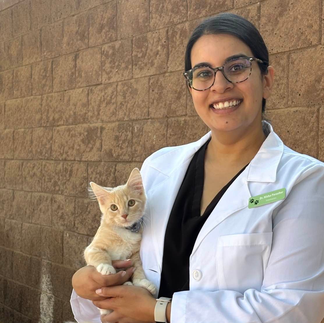 Nisha Parasher, DVM