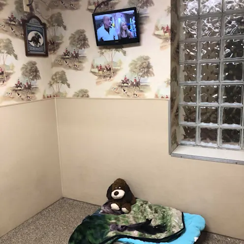 Horse N Hound 9 angle Horse N Hound 9 angle