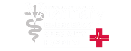 Northeast Indiana Veterinary Emergency & Specialty Hospital Logo Northeast Indiana Veterinary Emergency & Specialty Hospital Logo