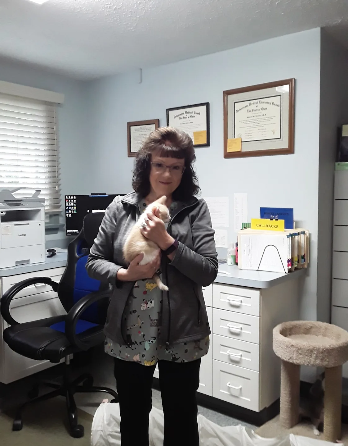 Belinda, Reception Belinda, Reception