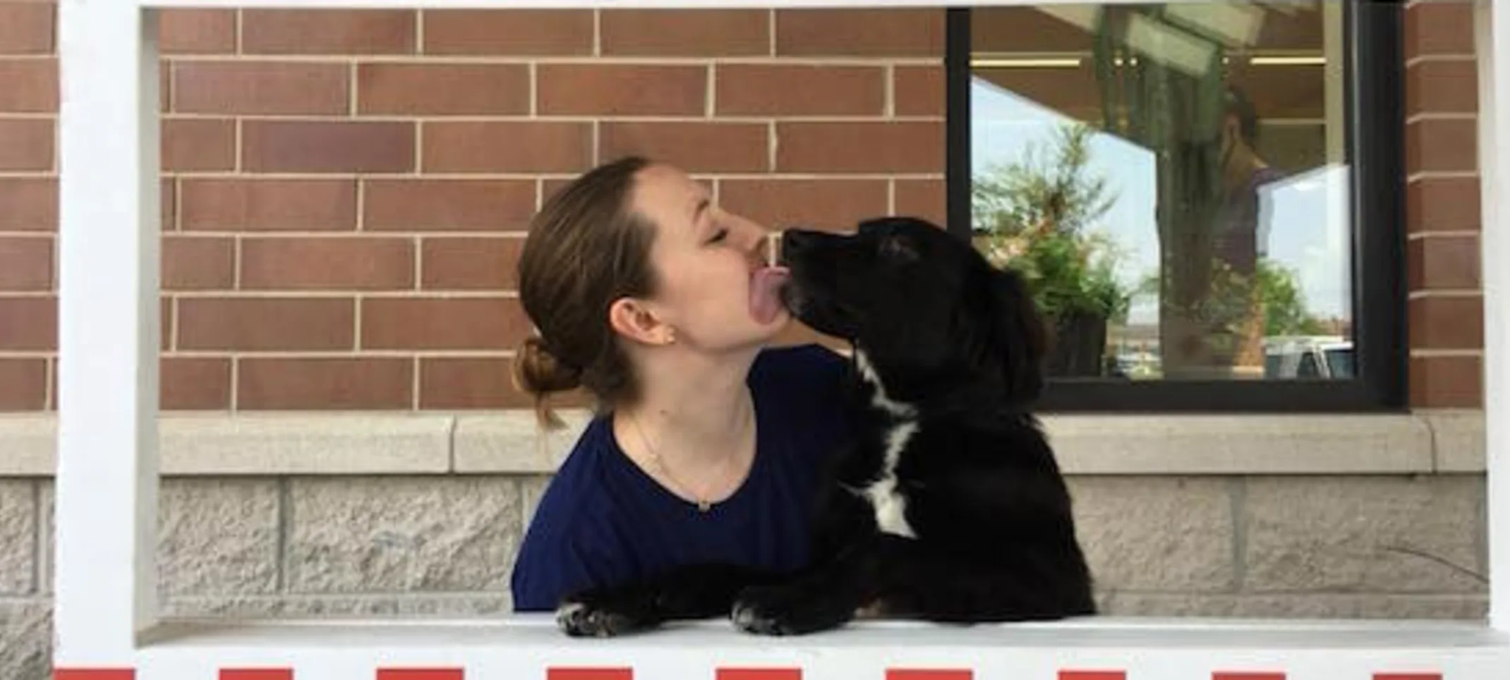 Staff and rescue dog kissing booth Staff and rescue dog kissing booth