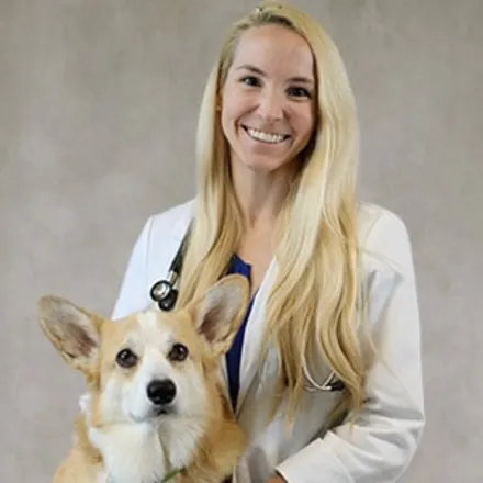 Dr. Alexandra Wood smiling in front of a grey backdrop hugging a Corgi 