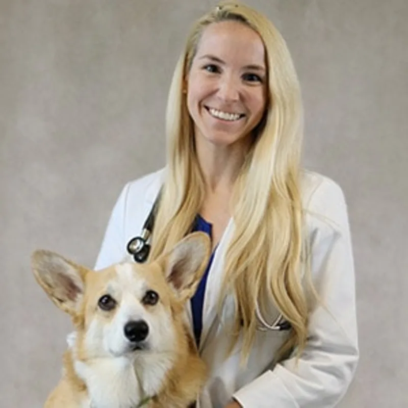Dr. Alexandra Wood smiling in front of a grey backdrop hugging a Corgi Dr. Alexandra Wood smiling in front of a grey backdrop hugging a Corgi