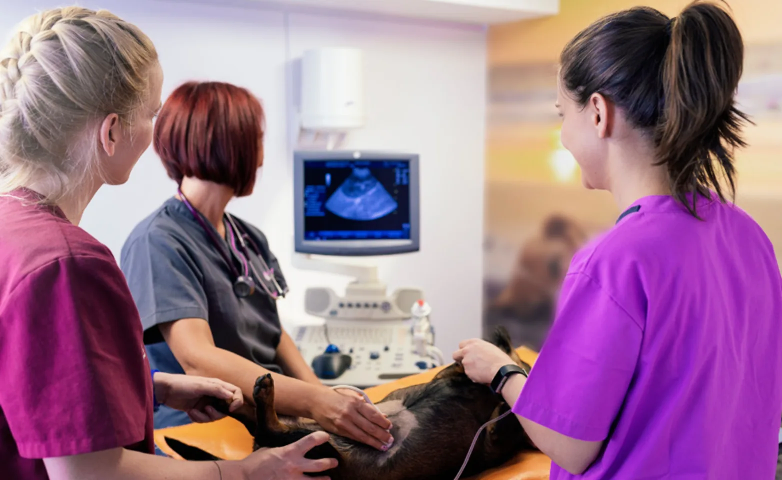 Doctors doing an ultrasound. Doctors doing an ultrasound.