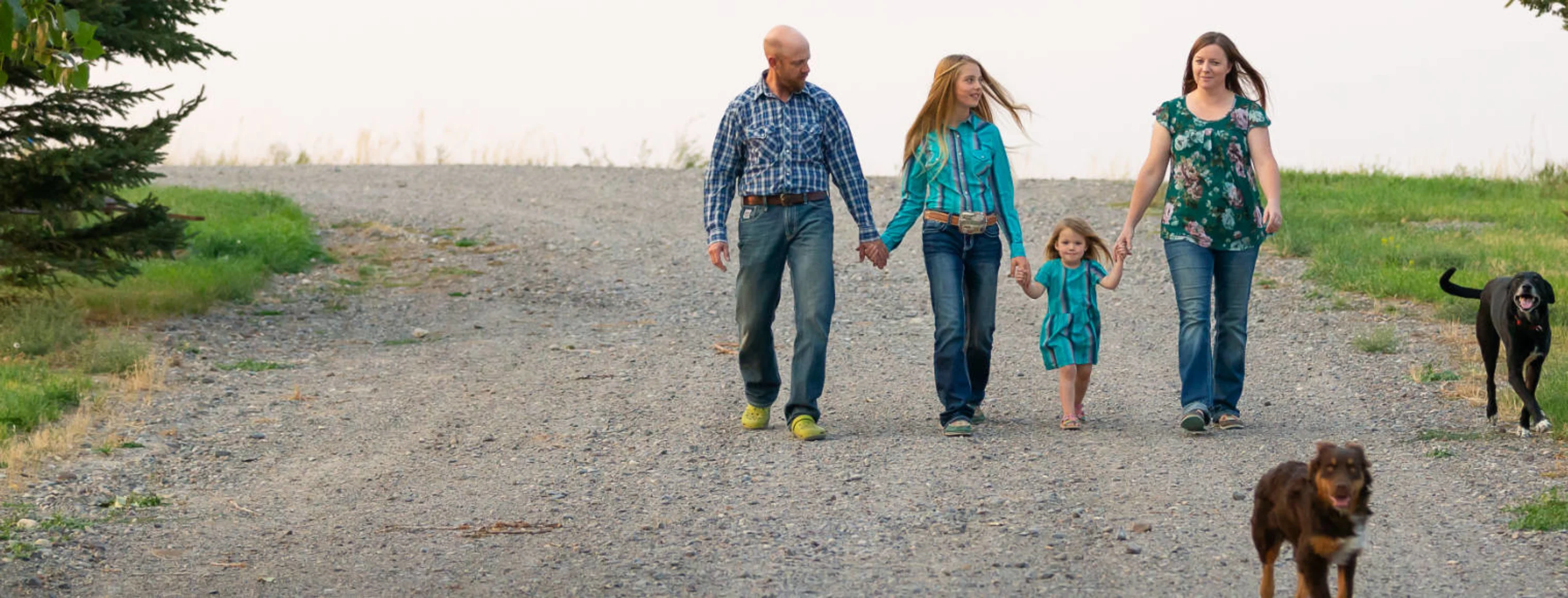 Family walking down a gravel pathway with two dogs Family walking down a gravel pathway with two dogs