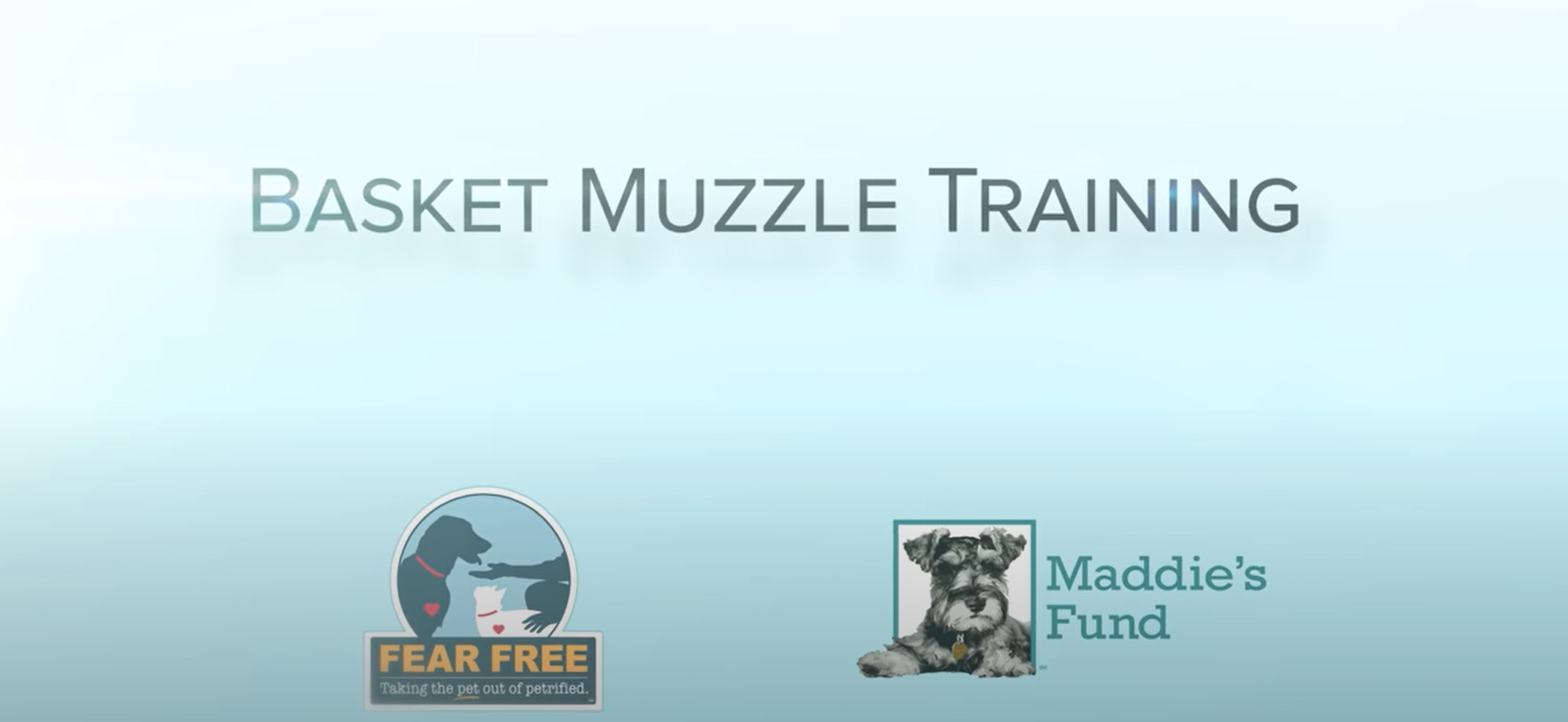 Screenshot of beginning of video.