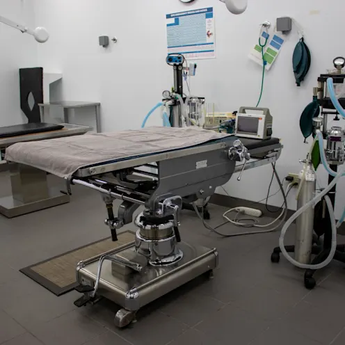 Surgical Suite Surgical Suite