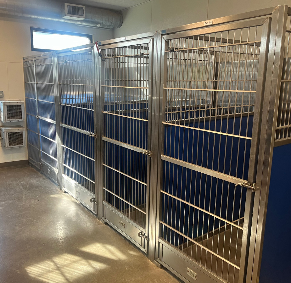 Dog Boarding Kennels