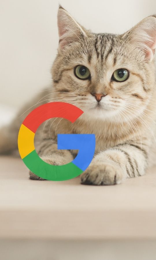 Cat laying on the floor at home in a light setting with Google logo in front