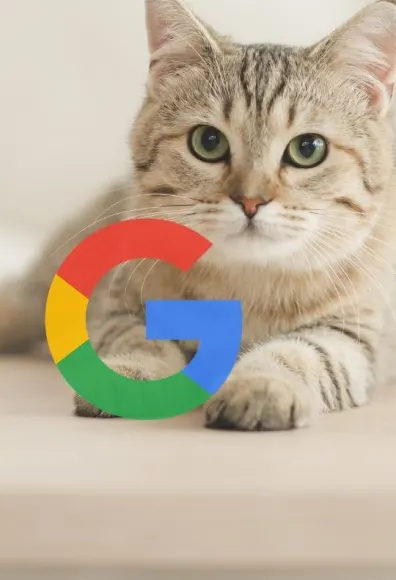 Cat laying on the floor at home in a light setting with Google logo in front