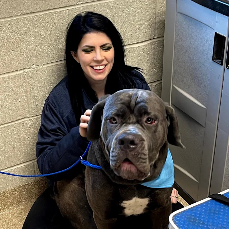 Groomer Lori with a big dog Groomer Lori with a big dog