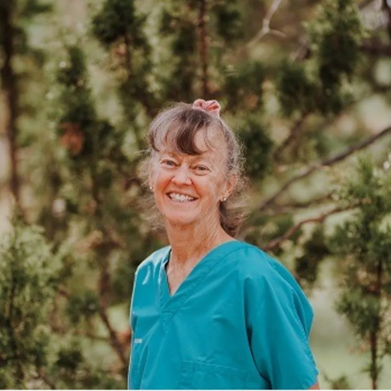 Betsy Adamson Betsy Adamson