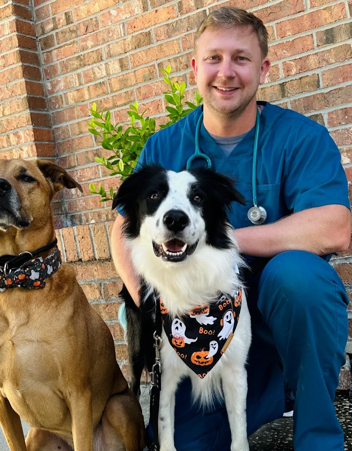 Dr. Dane Gallagher Dr. Dane Gallagher