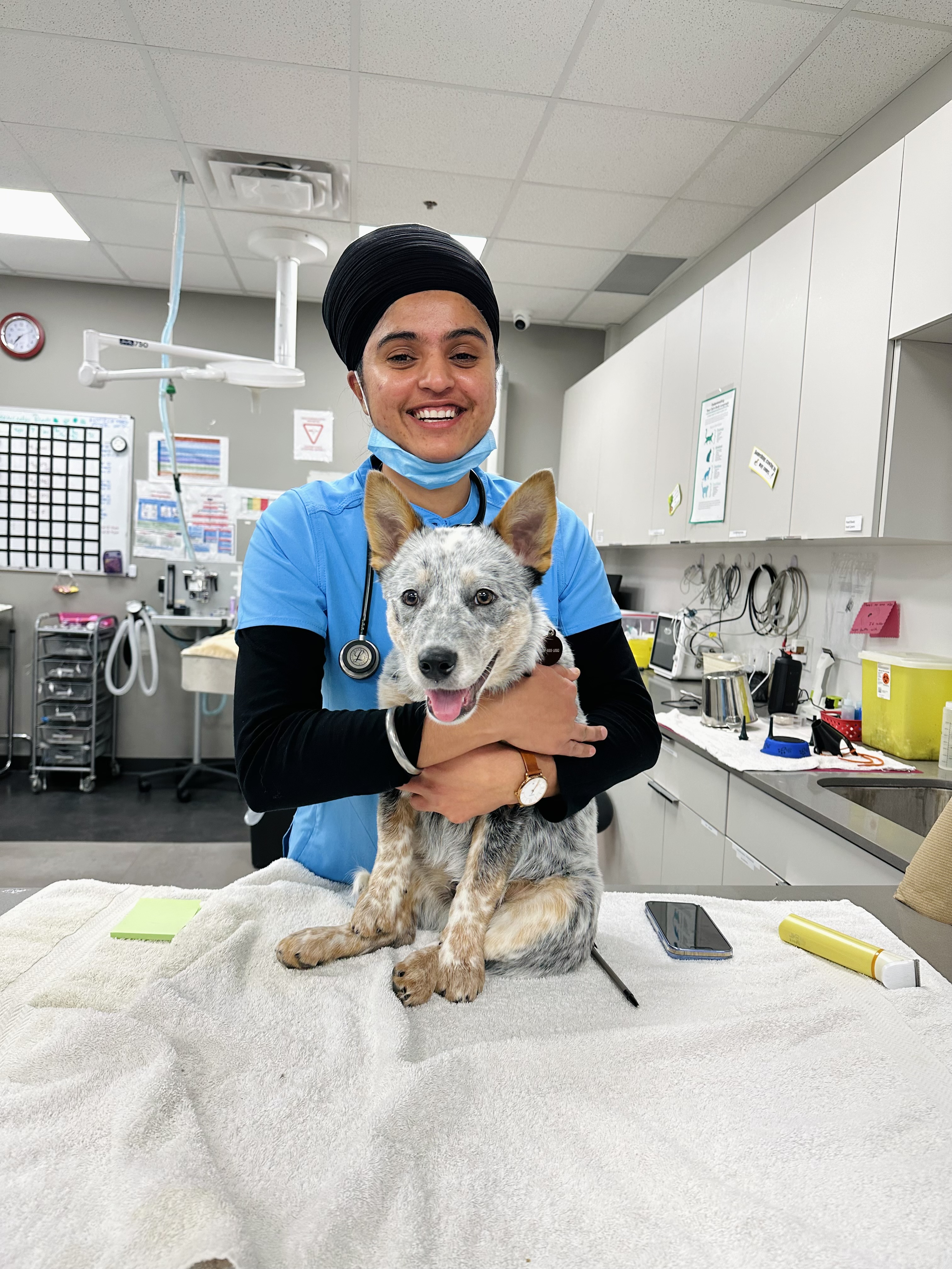 Dr. Sukhmeet is checking on a dog 