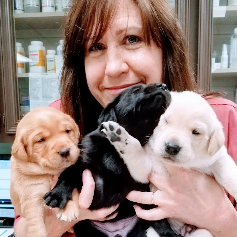 Dr. Diffey of Northwest Rankin Animal Clinic Dr. Diffey of Northwest Rankin Animal Clinic