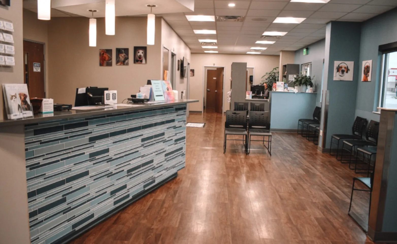 Lobby in All City Pet Care Veterinary Emergency Hospital Lobby in All City Pet Care Veterinary Emergency Hospital