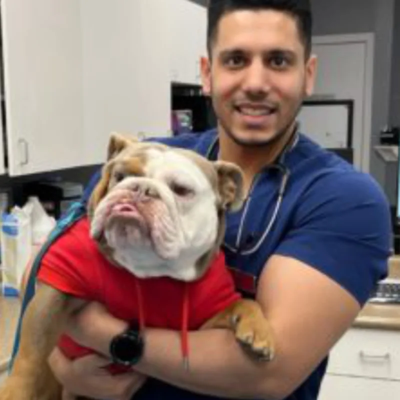 Dr. Jatin Bajwa and a dog Dr. Jatin Bajwa and a dog