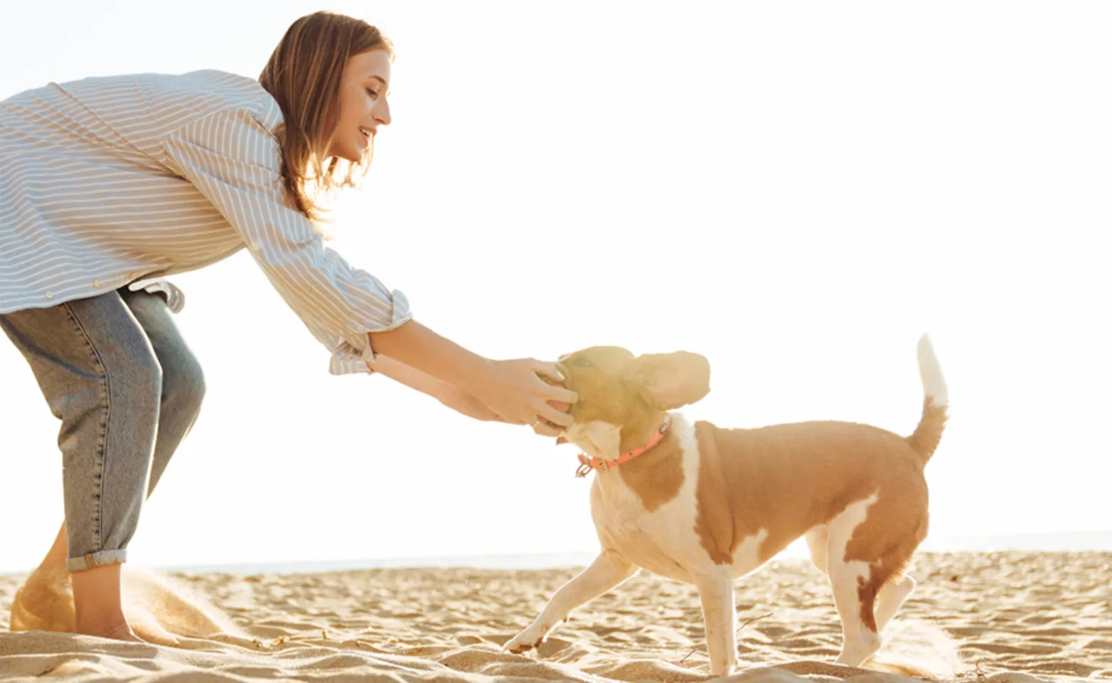 A woman playing with her dog on a beach