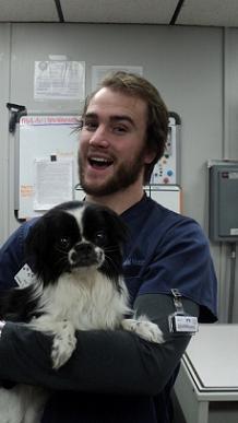 Veterinary assistant Andrew cuddles with Japanese Chin, Betty before a surgical procedure. 