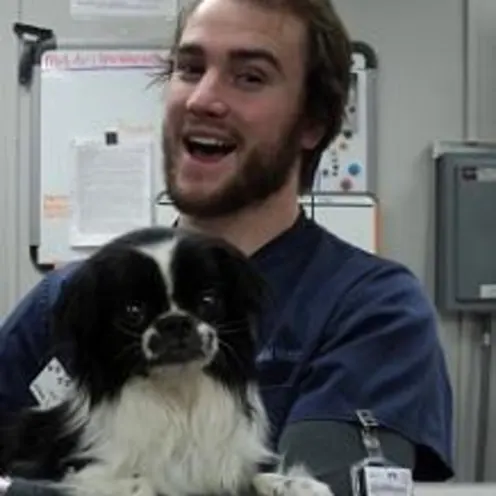 Veterinary assistant Andrew cuddles with Japanese Chin, Betty before a surgical procedure. 