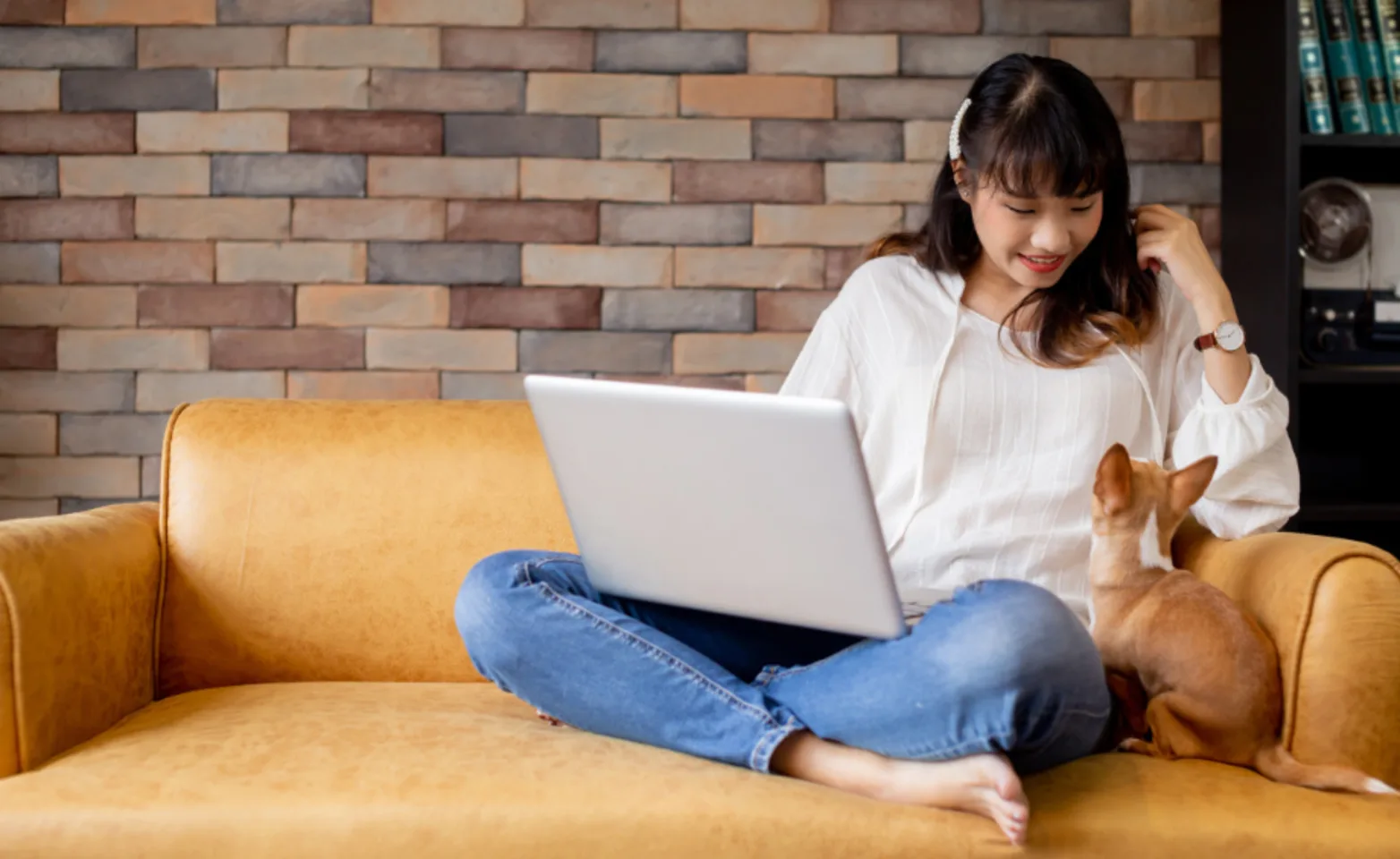 Woman Sitting with Dog & Laptop on an Orange Couch Woman Sitting with Dog & Laptop on an Orange Couch