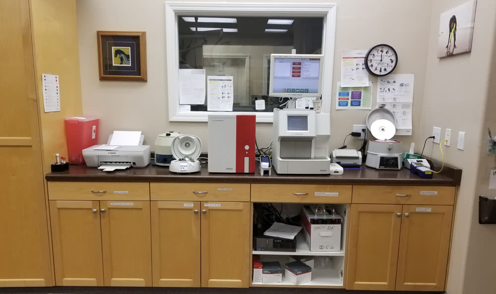 Laboratory equipment and area at Central Coast Pet Emergency Clinic