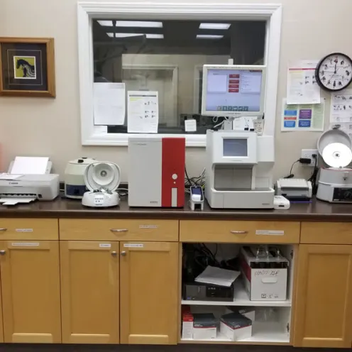 Laboratory equipment and area at Central Coast Pet Emergency Clinic