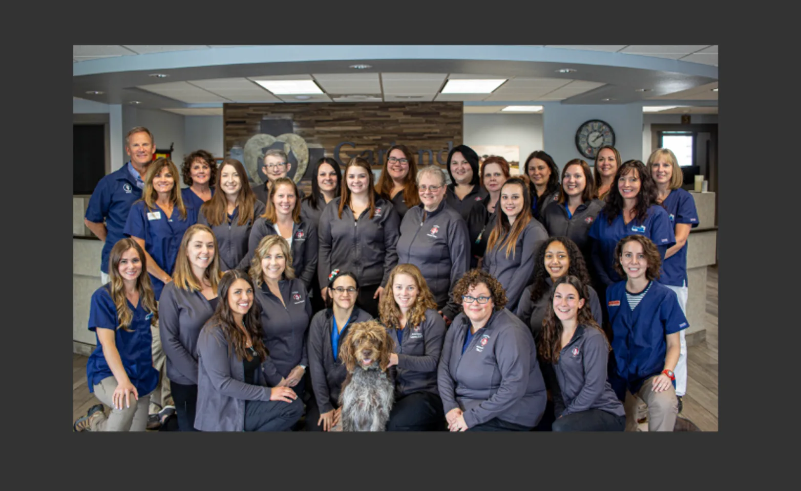 Garland Animal Clinic's staff, group photo. Garland Animal Clinic's staff, group photo.