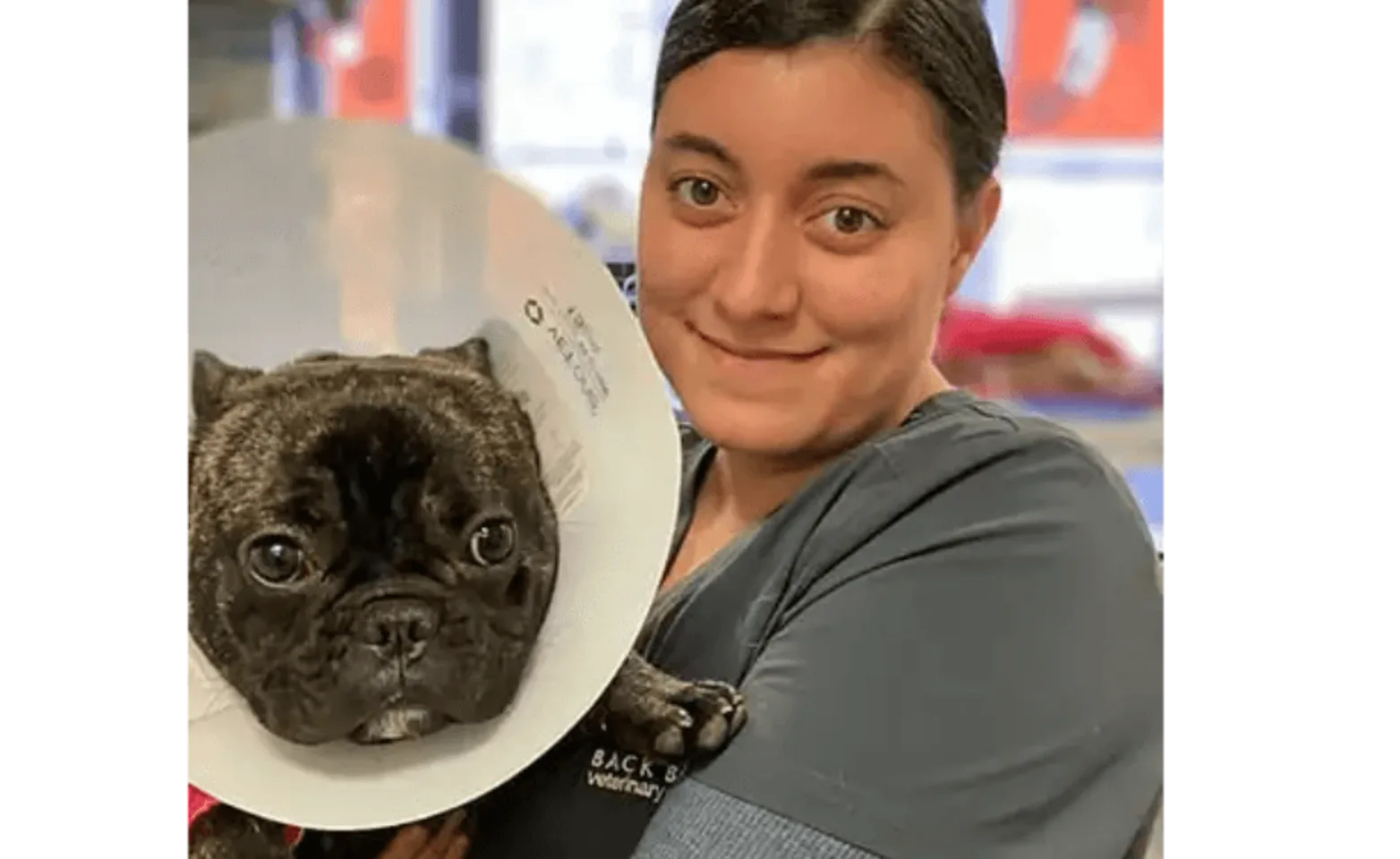 Staff member holding a dog with a cone Staff member holding a dog with a cone