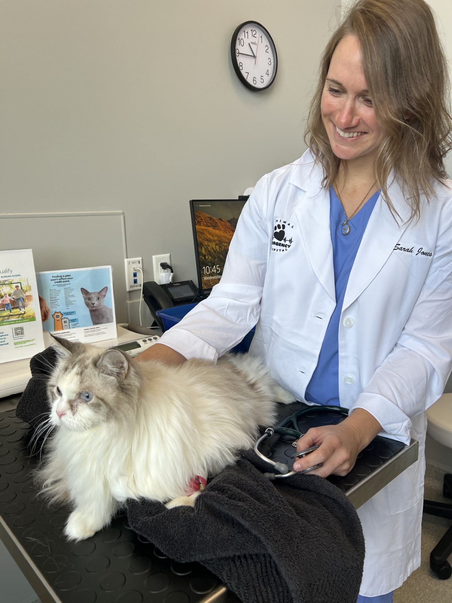 Veterinary Services Animal Emergency & Specialty Hospital Byron Center