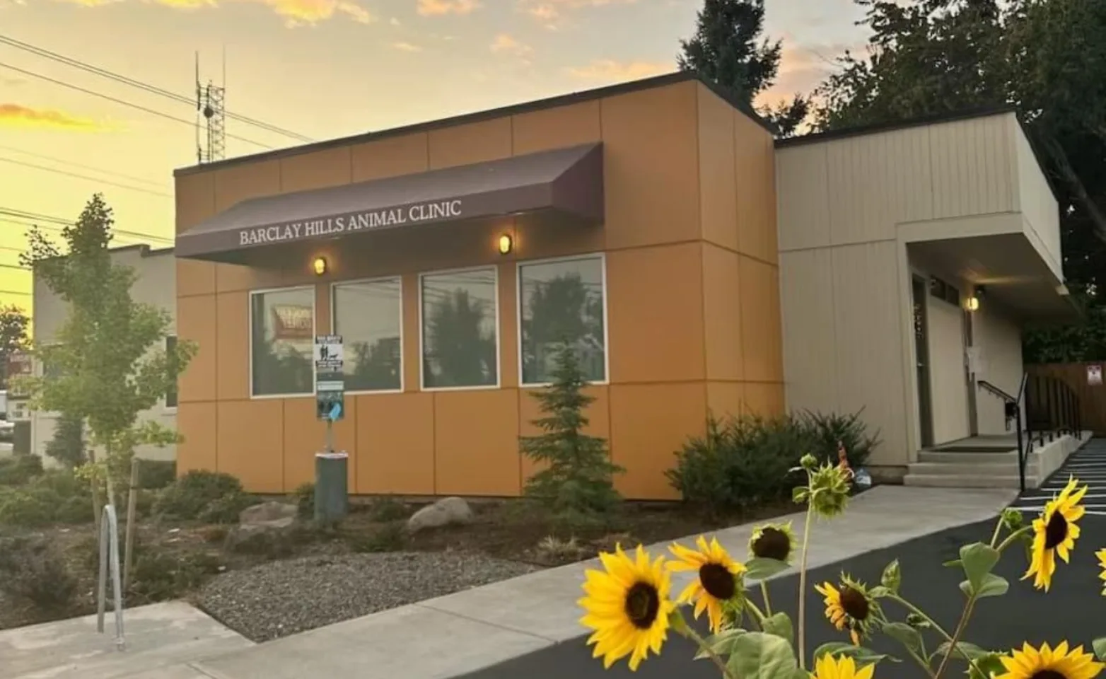exterior image wiht sunflowers exterior image wiht sunflowers