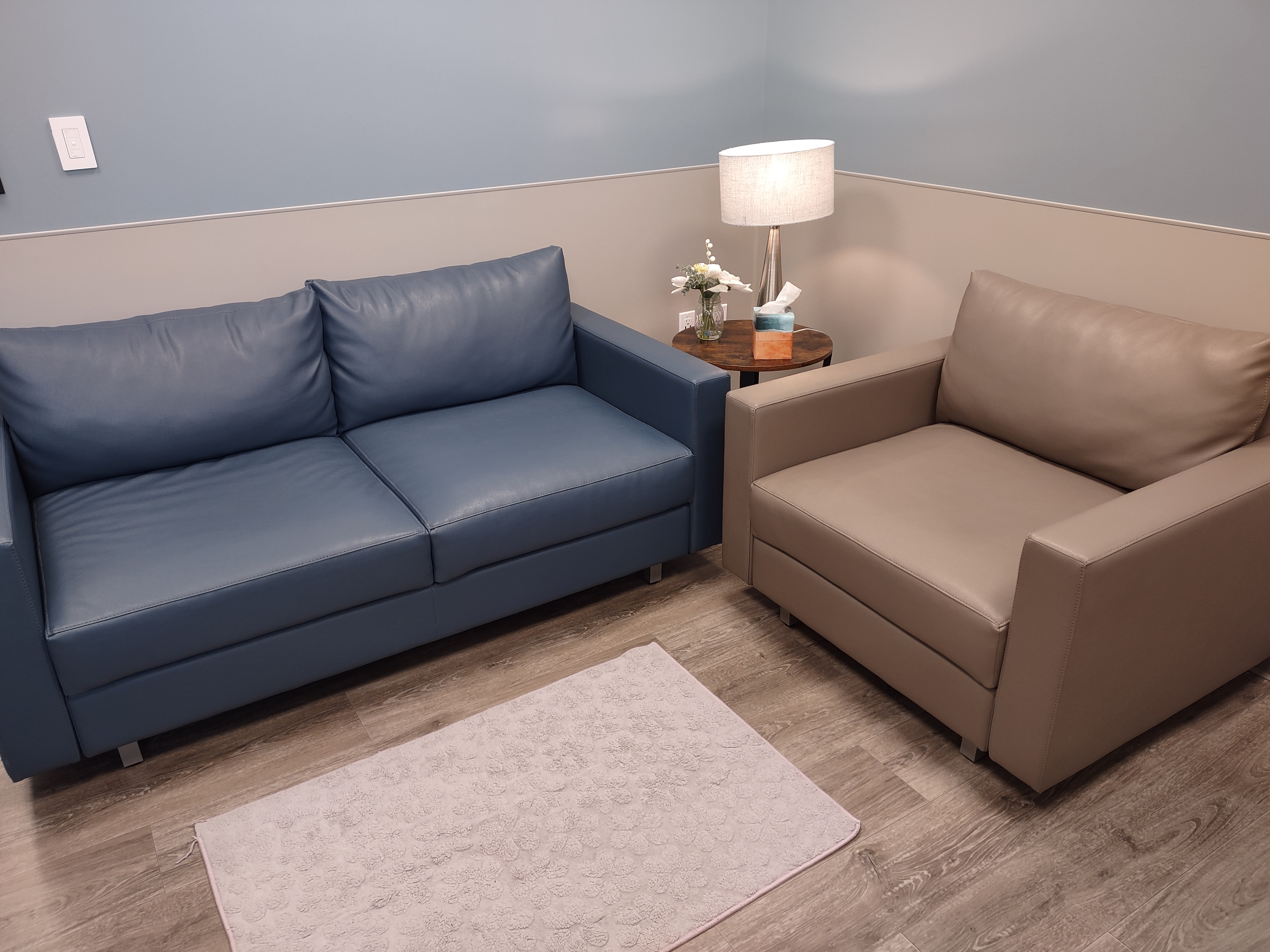 Comfort Room Couches