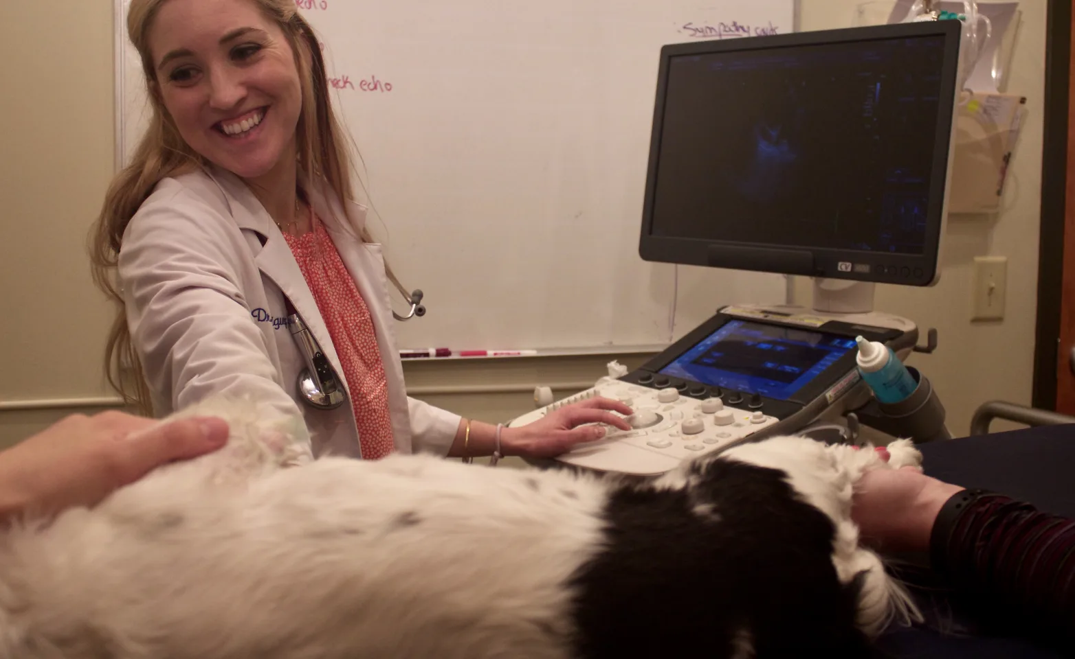 Dr. Rodriguez performing an EKG on a dog