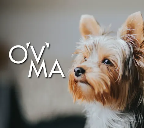 Ontario Veterinary Medical Association (OVMA) Ontario Veterinary Medical Association (OVMA)