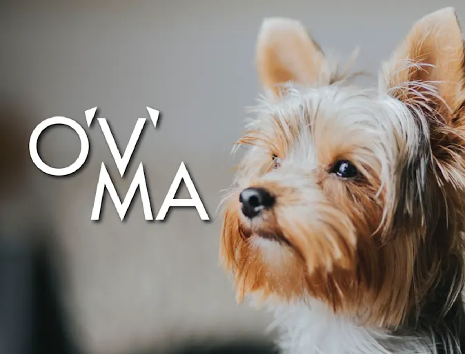 Ontario Veterinary Medical Association (OVMA) Ontario Veterinary Medical Association (OVMA)