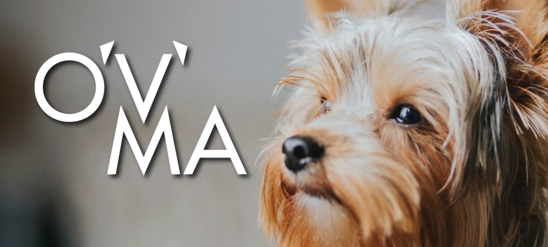 Ontario Veterinary Medical Association (OVMA) Ontario Veterinary Medical Association (OVMA)