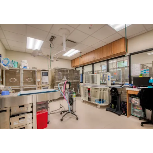 Critical Care Room at VetMed Emergency & Specialty Veterinary Hospital