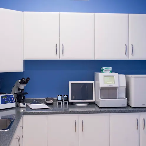 laboratory laboratory