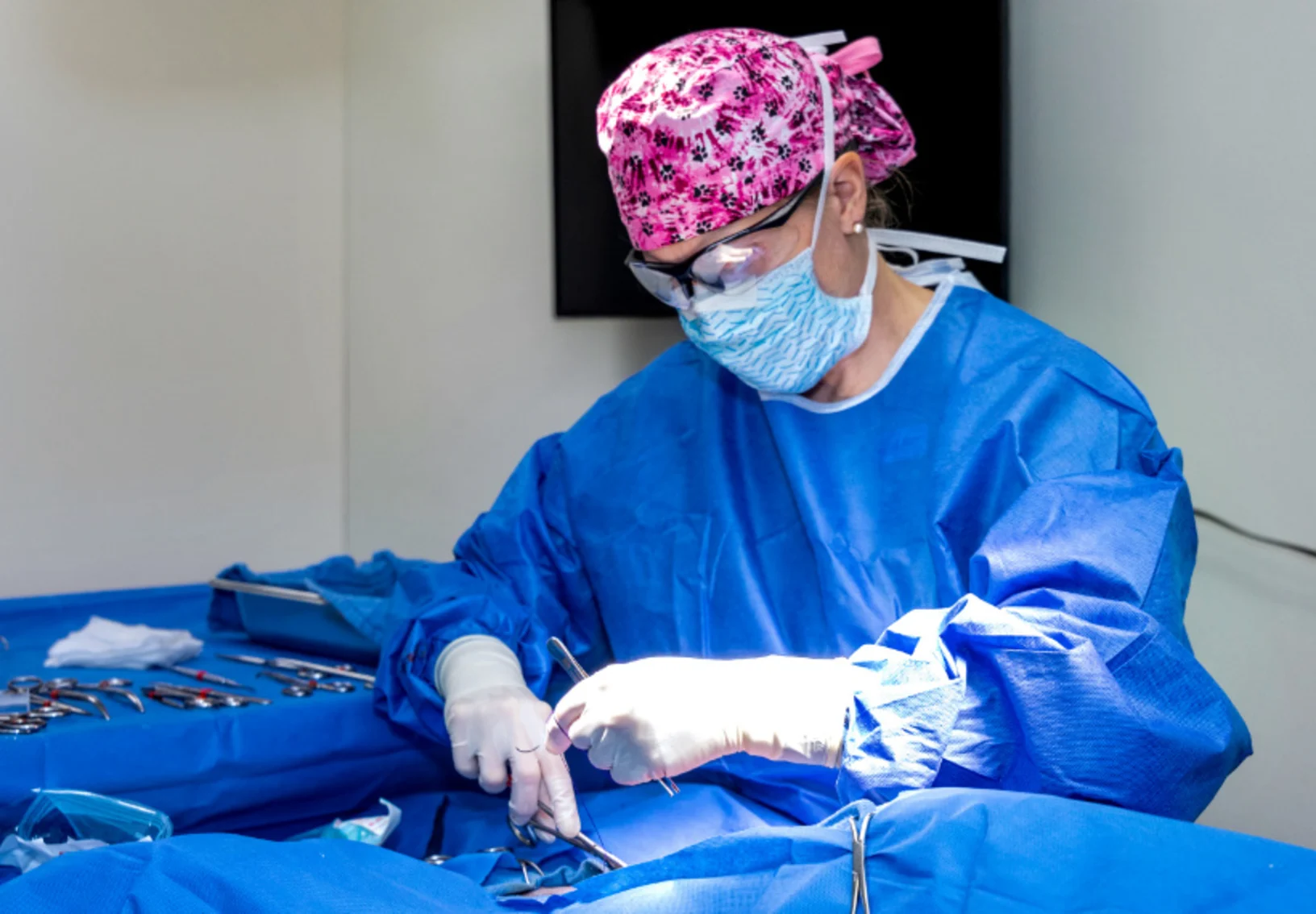 Veterinarian Performing Surgery at Animal Specialty & Emergency Center of Brevard Veterinarian Performing Surgery at Animal Specialty & Emergency Center of Brevard