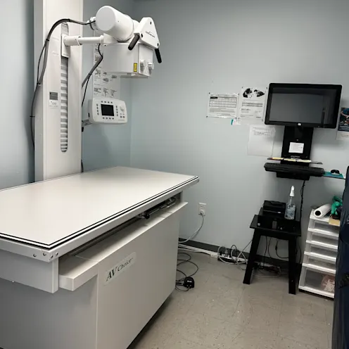 Keystone Veterinary Care X-Ray Keystone Veterinary Care X-Ray