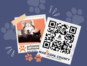 Rescue Rewards Promotion