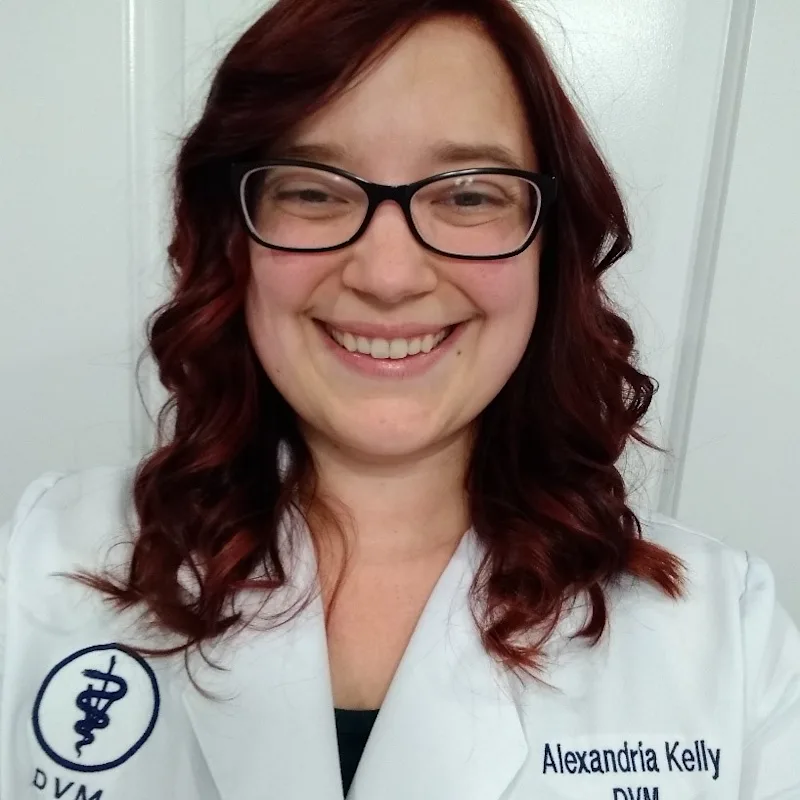Dr. Alexandria Kelly of Augusta Valley Animal Hospital Dr. Alexandria Kelly of Augusta Valley Animal Hospital