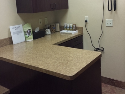 Animal Medical and Surgical Hospital of Frisco Exam Room