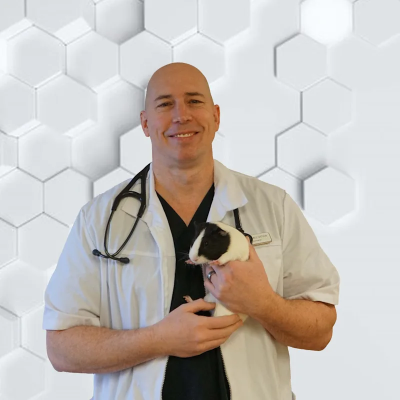 Dr. James T. Nation Dr. James T. Nation