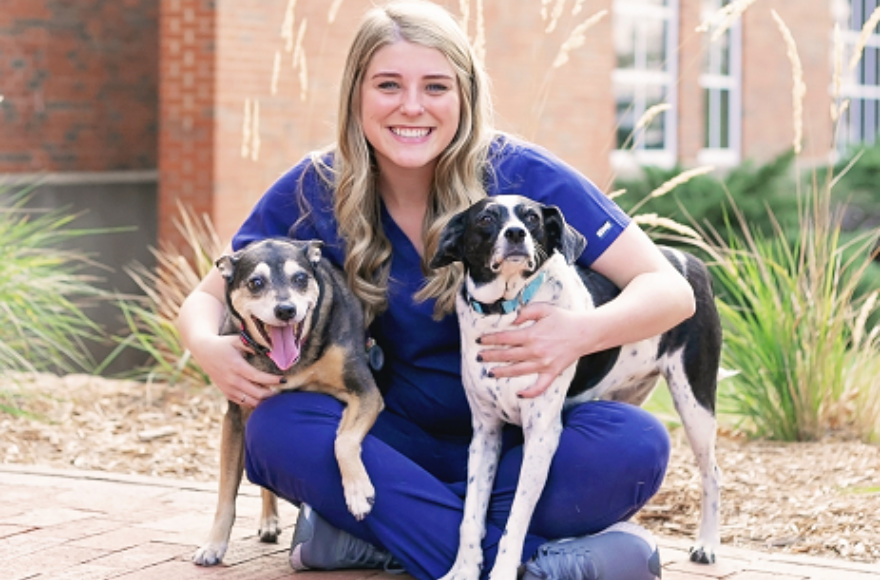 Contact a Veterinarian in Lee's Summit, MO | Lee's Summit Animal Hospital  North