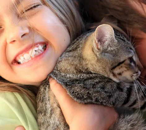 A girl snuggling a kitten and smiling A girl snuggling a kitten and smiling