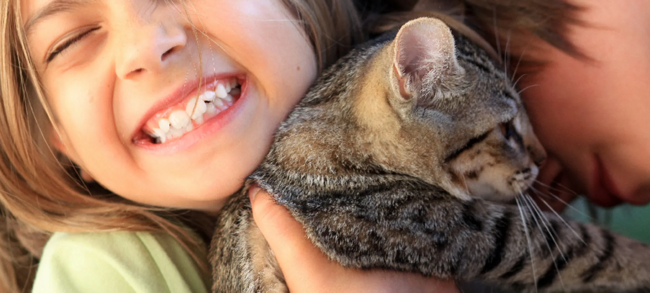 A girl snuggling a kitten and smiling A girl snuggling a kitten and smiling