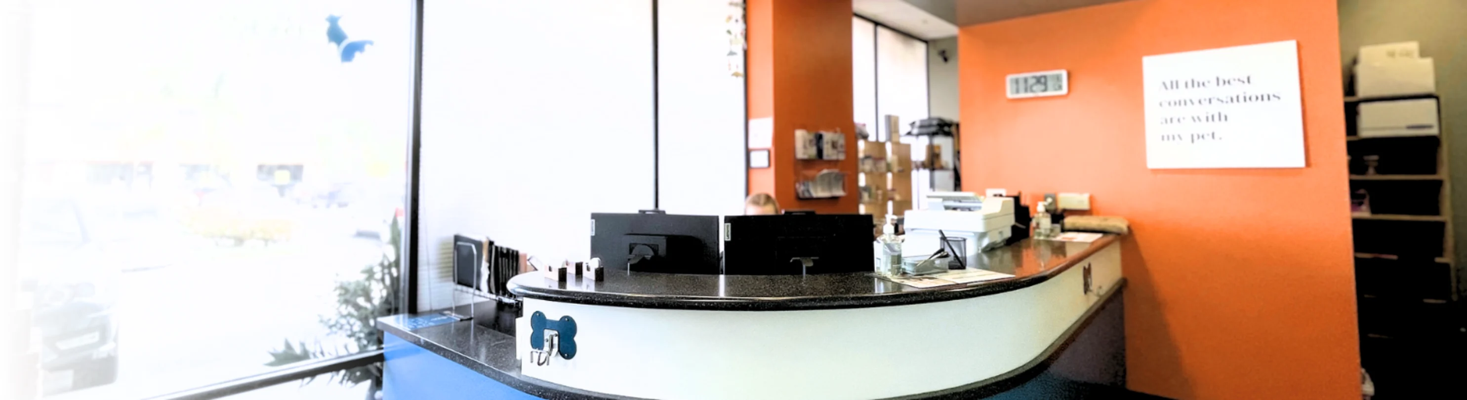 Belmont Shore Veterinary Hospital lobby & front desk Belmont Shore Veterinary Hospital lobby & front desk