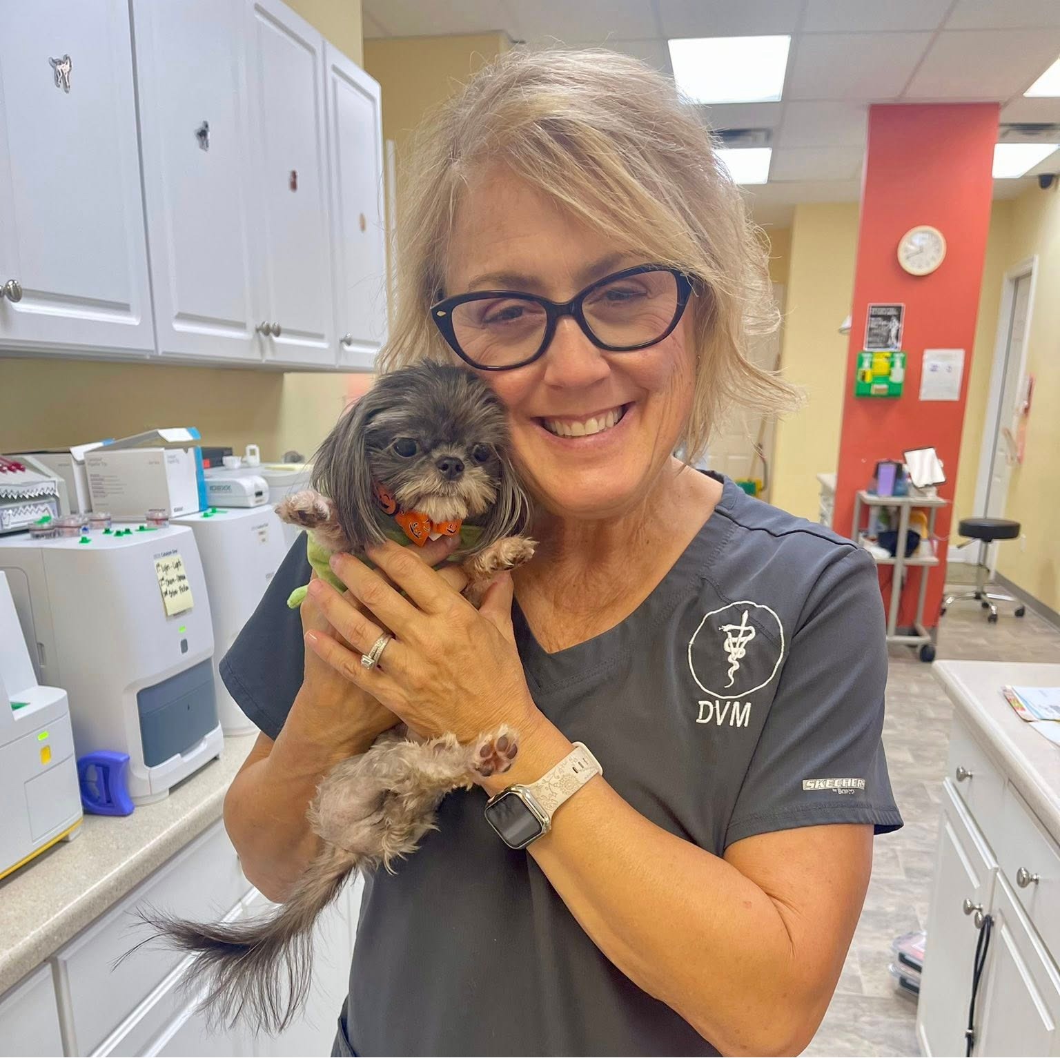 Animal Hospital of Orange Grove Dr. Nikki Palermo