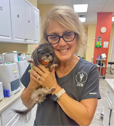 Animal Hospital of Orange Grove Dr. Nikki Palermo Animal Hospital of Orange Grove Dr. Nikki Palermo